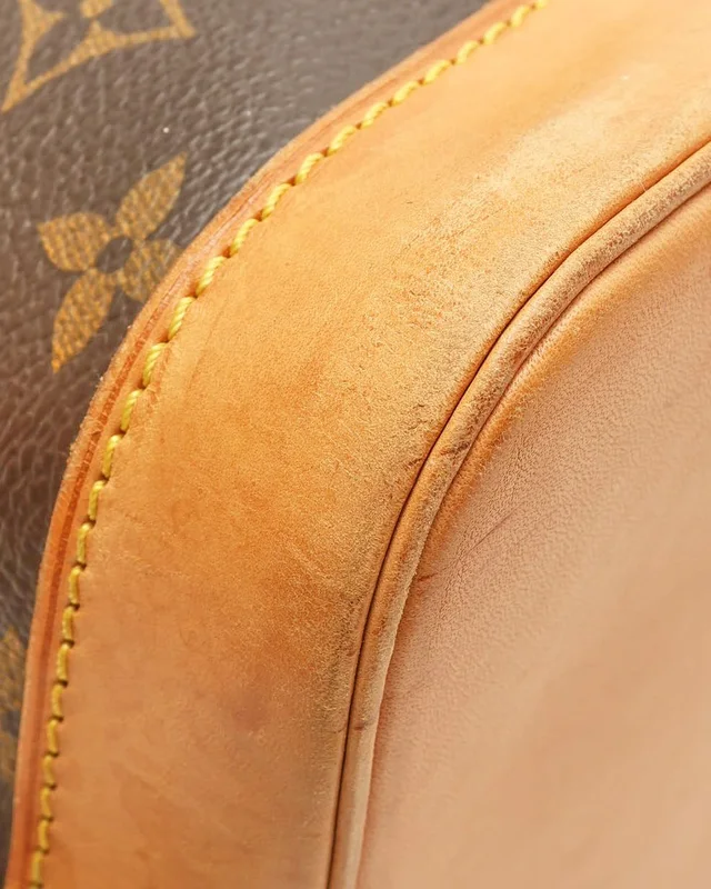 Louis Vuitton Monogram Alma PM Bag in Coated canvas from A Retro Tale, photo 6 of 9