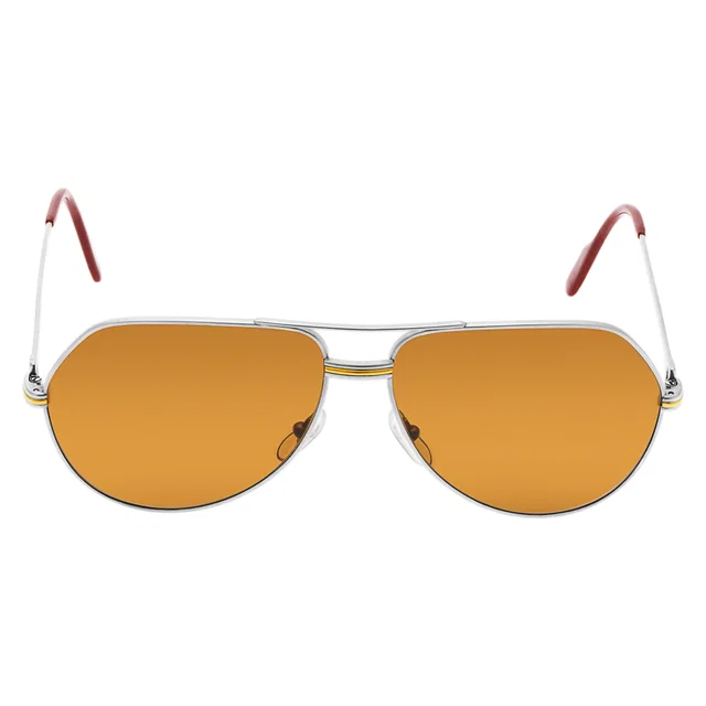 Cartier Glasses with box and papers in Stainless Steel from Gray And Sons