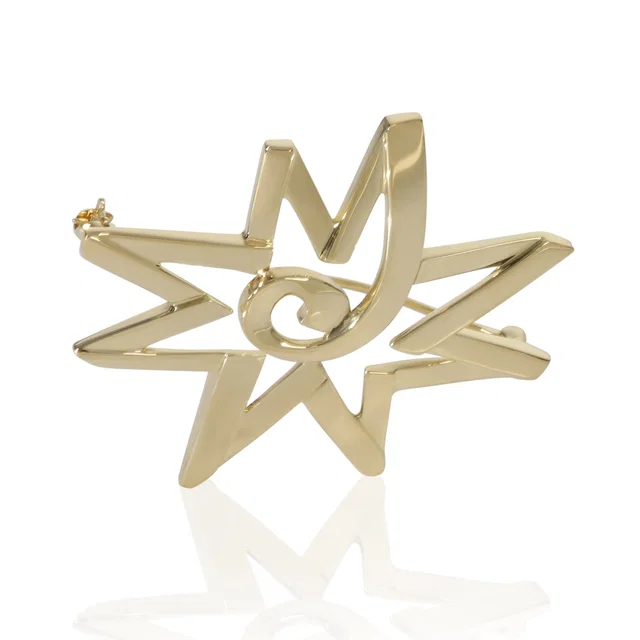Tiffany & Co. Yellow Gold Vintage Paloma Picasso Star Brooch 18k in Yellow from HEWI