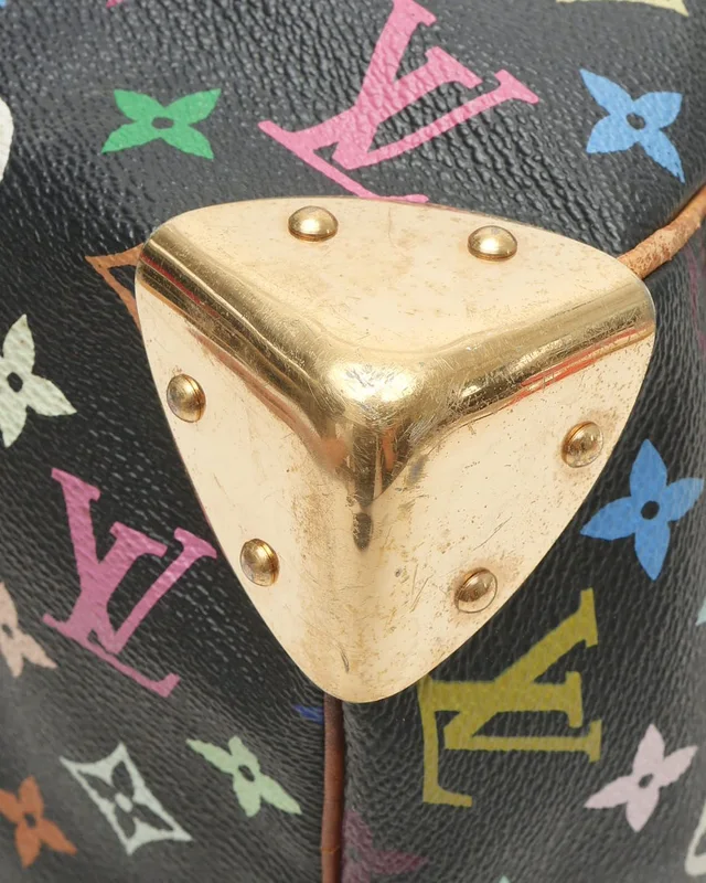 Louis Vuitton Murakami Speedy 30 Bag in Canvas from A Retro Tale, photo 7 of 10