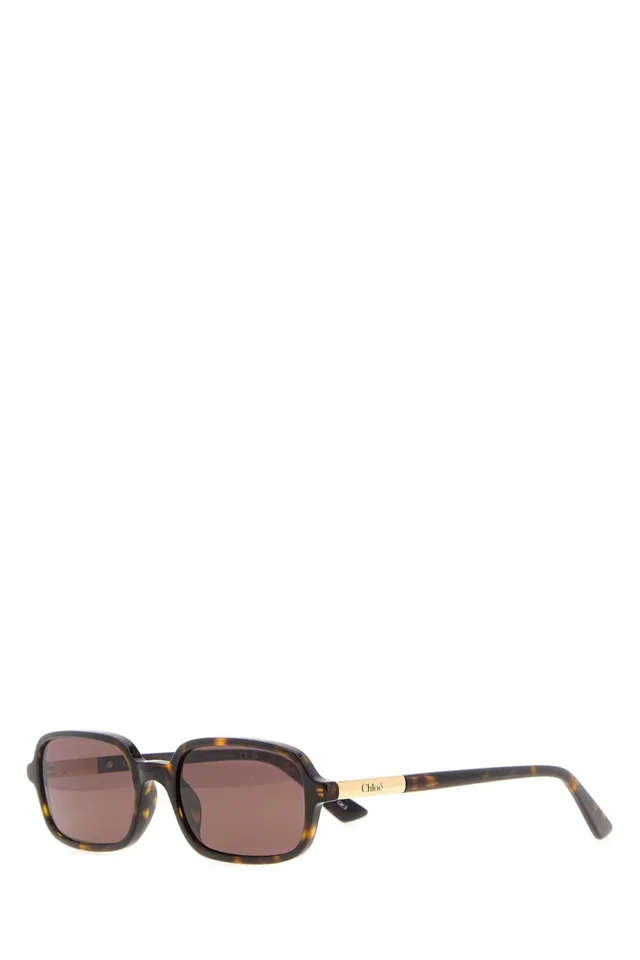 Chloé Glasses Tortoiseshell Acetate Sunglasses — Brown Exterior in Brown from HEWI