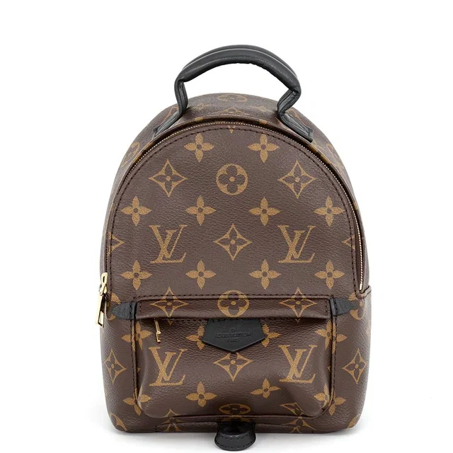 Louis Vuitton Backpack Monogram Palm Springs Mini Black in Black from The Reluxe