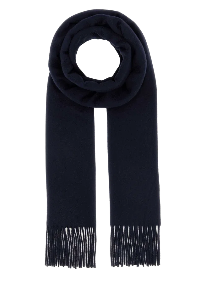 Max Mara Dalia Scarf — Navy Exterior: Cashmere Scarfs in Navy Cashmere from HEWI
