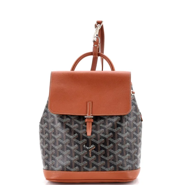 Goyard Alpin Backpack Coated Canvas Mini in brown|red Coated canvas from Rebag, photo 1 of 1
