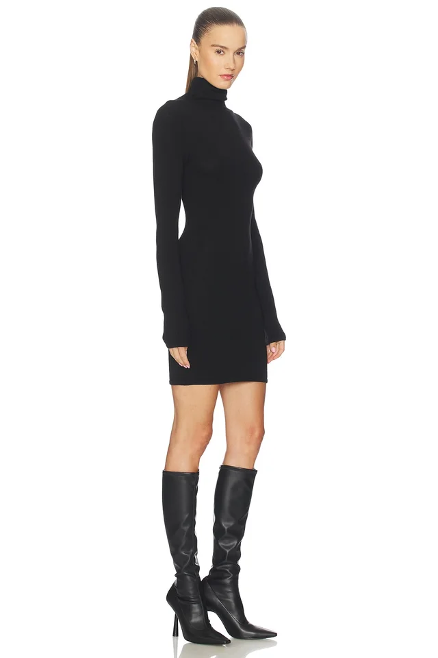 Lovers and Friends Steffi Turtleneck Mini Dress in Black, photo 2 of 4 from REVOLVE (Canada)