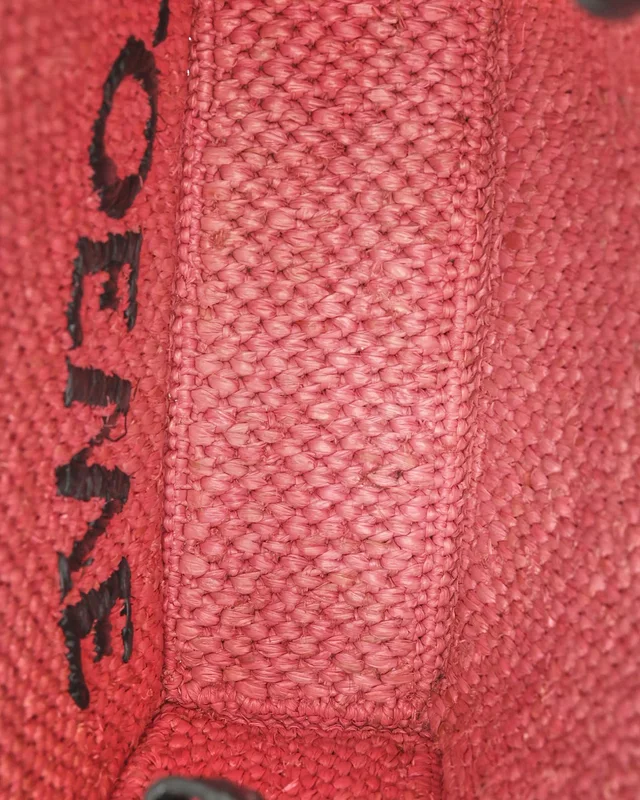 Loewe Mini Raffia Font Tote Bag in Raffia from A Retro Tale, photo 8 of 9