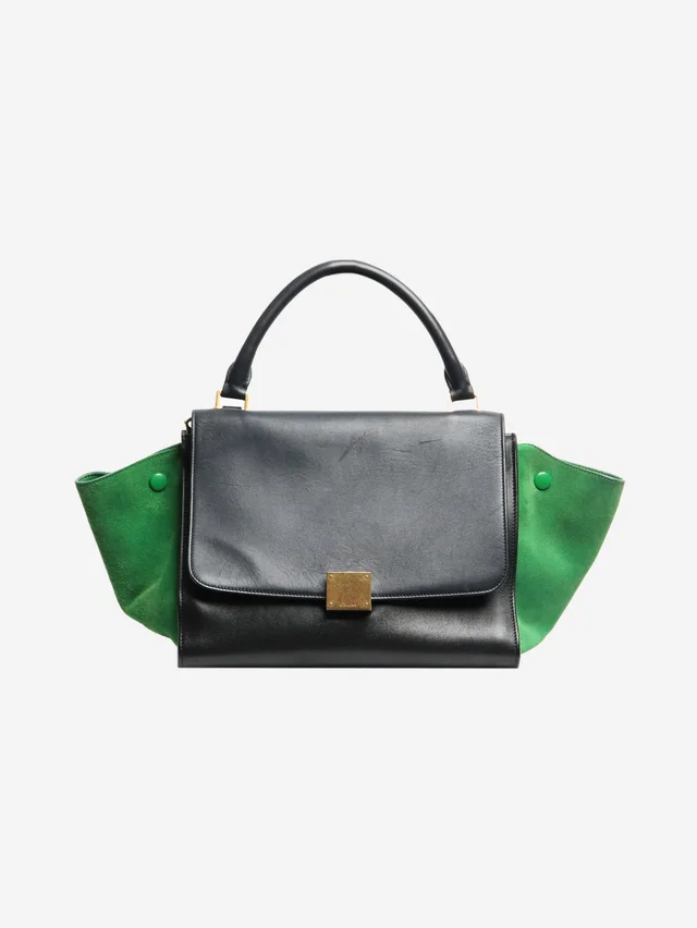 Celine Multicolour Tapeze suede and leather 2way bag in Suede from Sign of the Times