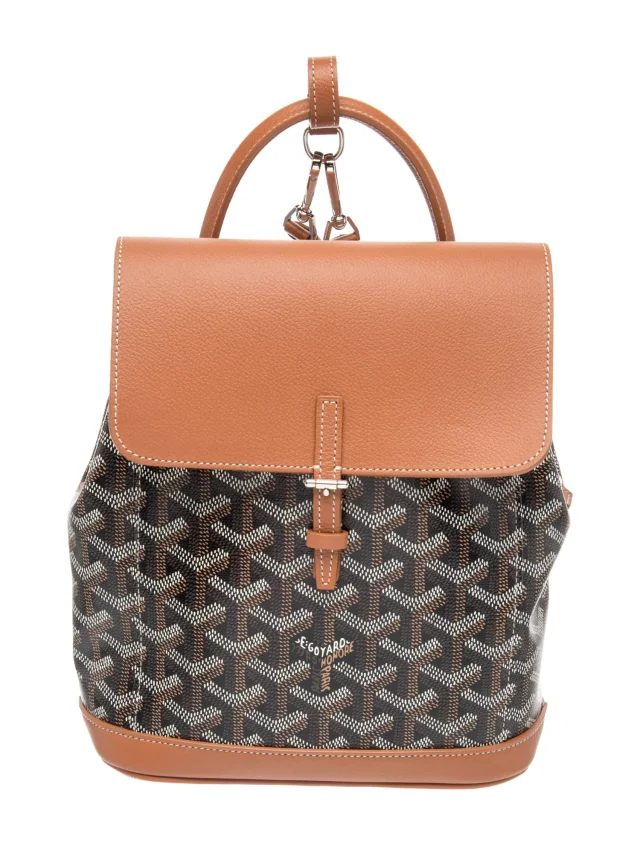 Goyard Goyardine Alpin Mini in black Canvas from The RealReal