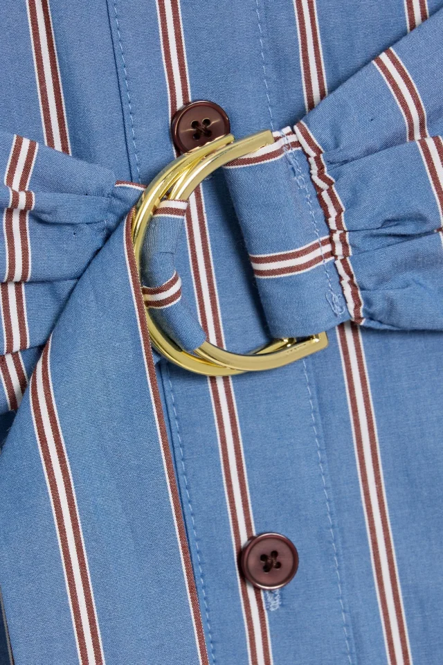 Derek Lam 10 Crosby Belted Striped Cotton-Poplin Midi Shirt Dress in Blue, photo 4 of 4 from THE OUTNET