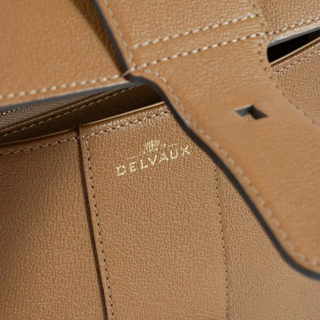Delvaux Vegetal Rodeo Calf Brillant East West Mini Bag in Leather from Labellov, photo 7 of 9