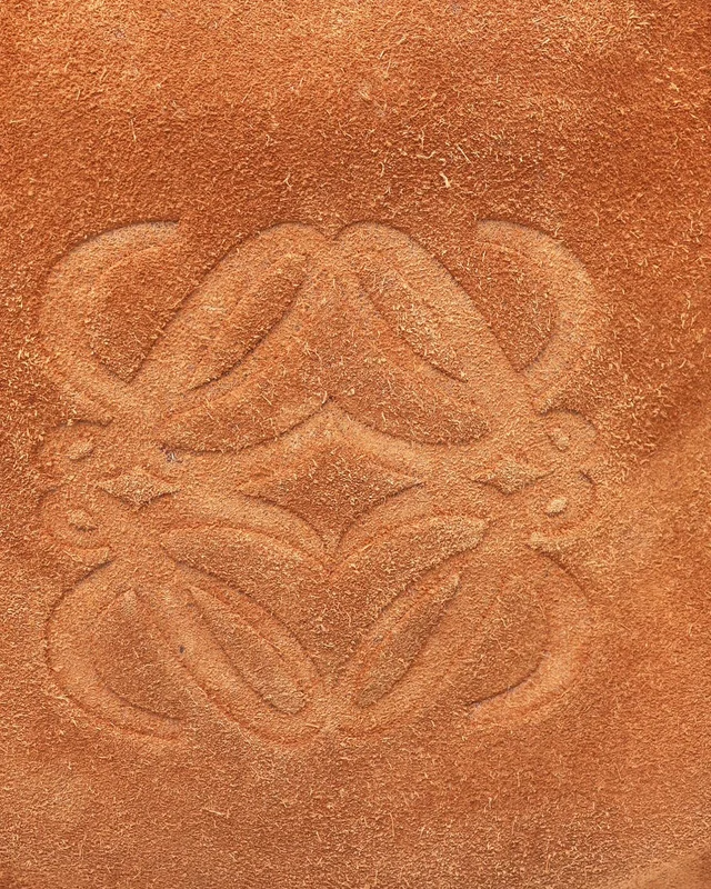 Loewe Amazona Suede Bag in Suede from A Retro Tale, photo 7 of 9