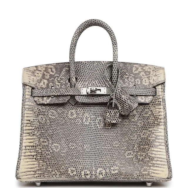 Hermès Birkin 25 Ombre Shiny Varanus Salvator Lizard Palladium Hardware in Lizard from Madison Avenue Couture