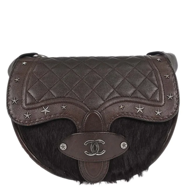Chanel 2014 Brown Calfskin Pony Hair Paris-Dallas Saddle Shoulder Bag in Brown Calfskin from AMORE Vintage Tokyo