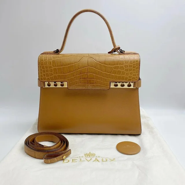 Delvaux Tempête Crocodile Trim Handle Bag One Size in Brown in brown|red Crocodile from Grailed