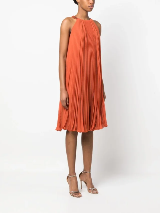 Max Mara Pianoforte Pleaterd Midi Dress, photo 3 of 6 from Balardi