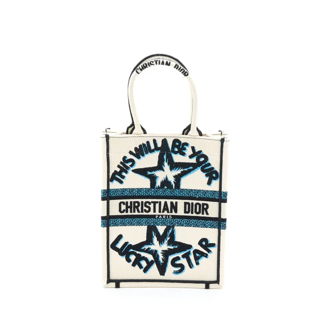 Dior Vertical Book Tote Lucky Star Embroidery White/Multicolour in White from EMIER