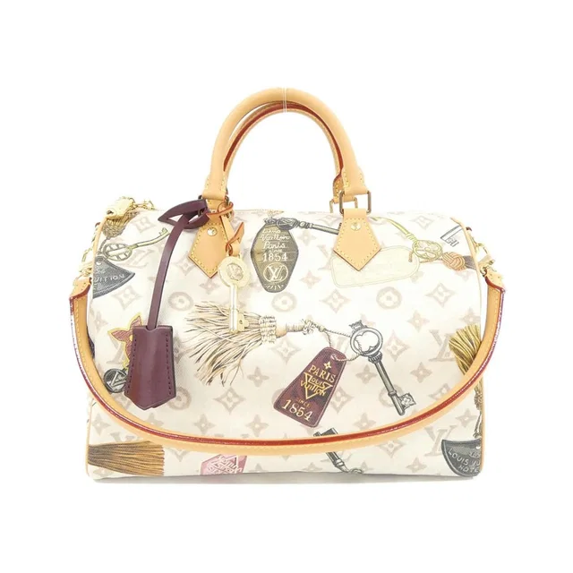 Louis Vuitton Monogram Dune Speedy Soft 30 Bag in Coated canvas from The Reluxe