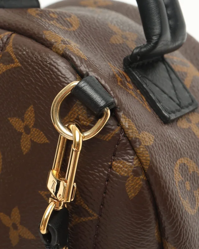 Louis Vuitton Mini Palm Springs Backpack in Coated canvas from A Retro Tale, photo 7 of 8