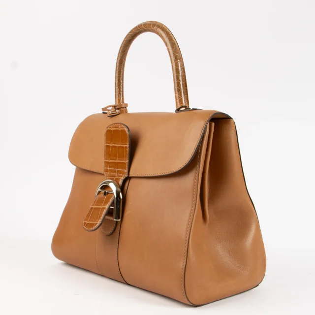 Delvaux Vegetal Alligator/Dream Brillant MM Bag in Crocodile from Labellov, photo 3 of 9
