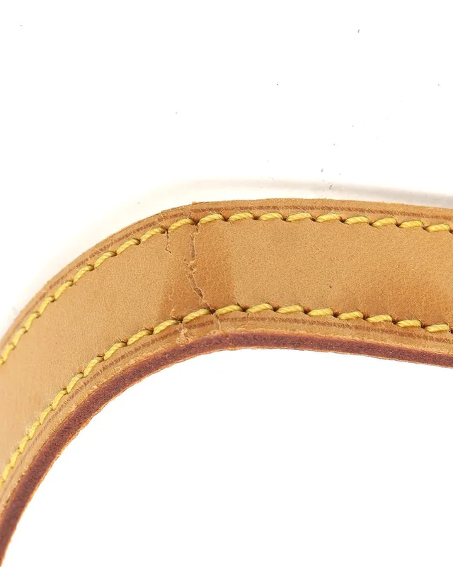 Louis Vuitton Monogram Saint Cloud GM Bag in Coated canvas from A Retro Tale, photo 7 of 11