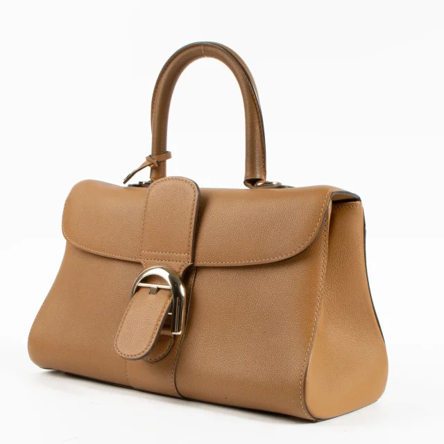 Delvaux Vegetal Rodeo Calf Brillant East West Mini Bag in Leather from Labellov, photo 3 of 9