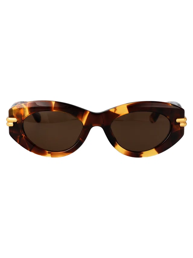 Bottega Veneta Bv1322s Havana Acetate Sunglasses — Brown in Brown from HEWI