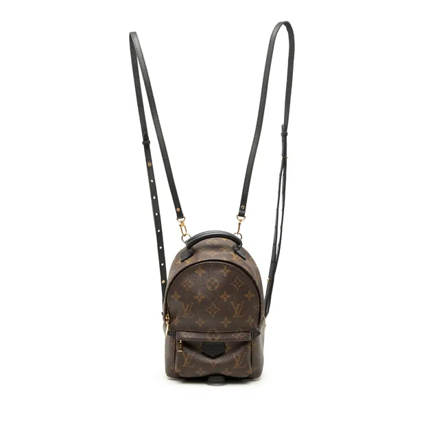Brown Louis Vuitton Monogram Mini Palm Springs Backpack in Brown Coated canvas from Designer Revival