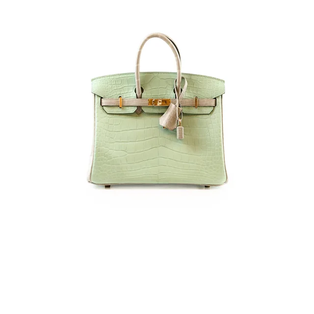 Hermès Birkin 25 Alligator Mississippiensis Verte D'eau/Gris Perle - U Stamp in Grey Crocodile from The Purse Affair