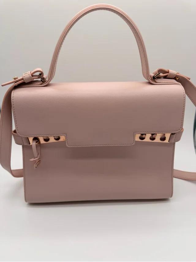 Delvaux Tempete Blush Structured Top-Handle Tote in pink Leather from Poshmark, photo 1 of 1