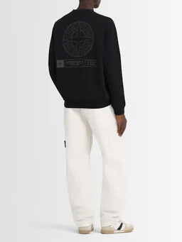 Stone Island Crewneck sweatshirt with long sleeves in 0% Cotton, photo 2 of 5 from LUISAVIAROMA