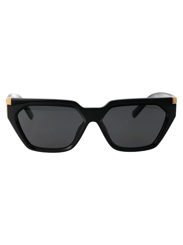 Tiffany & Co. 0tf4205u Injected Frame Sunglasses — Black in Black from HEWI
