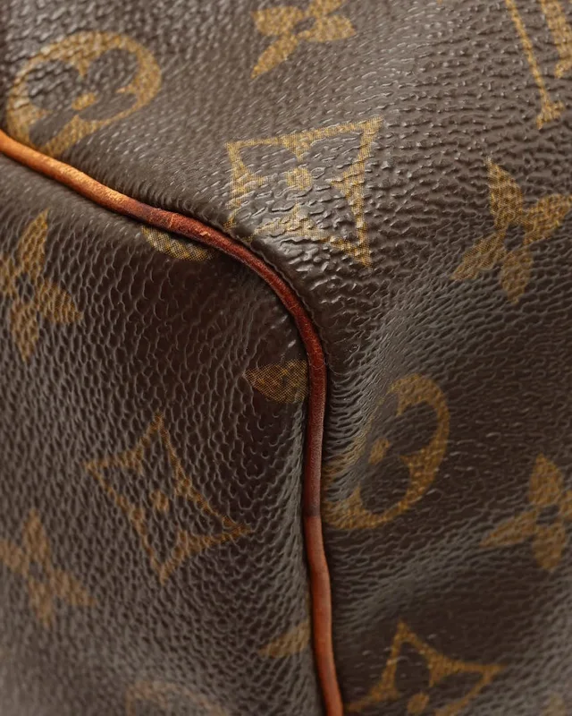 Louis Vuitton Monogram Speedy 25 Bag in Coated canvas from A Retro Tale, photo 6 of 11