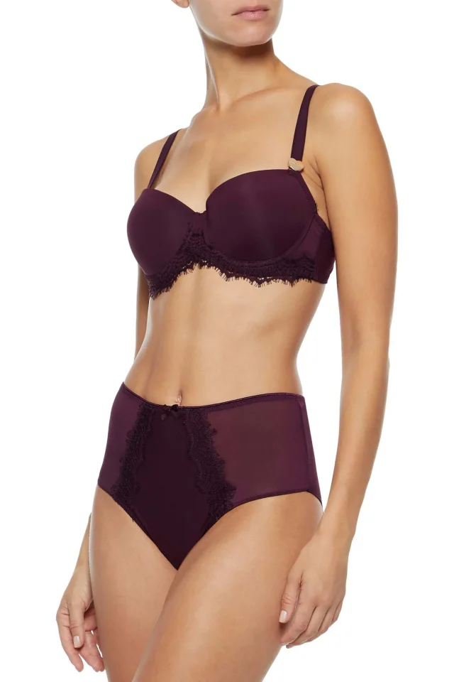 MIMI HOLLIDAY by DAMARIS Lace-Trimmed Stretch-Jersey and Tulle High-Rise Briefs in Grape, photo 2 of 4 from THE OUTNET