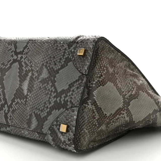 Celine Snakeskin Mini Luggage Multicolor in Multicolor Leather from FASHIONPHILE, photo 9 of 12