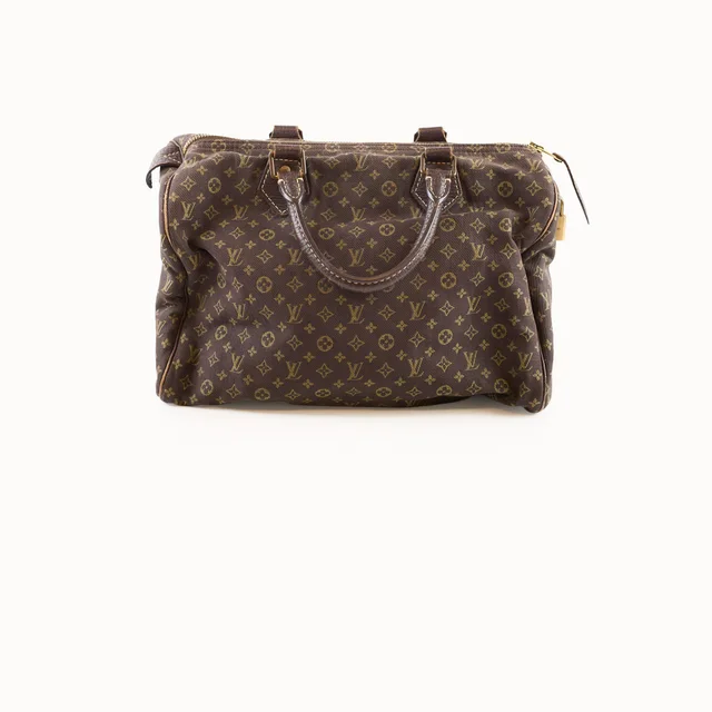 Louis Vuitton Speedy 30 Mini Lin in Canvas from The Purse Affair
