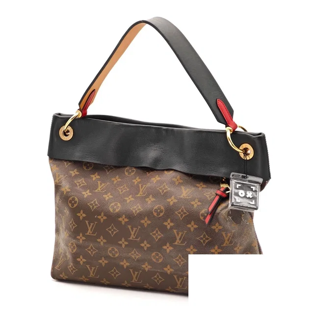 Louis Vuitton Tuileries Hobo Handbag Brown in Brown Canvas from The Reluxe