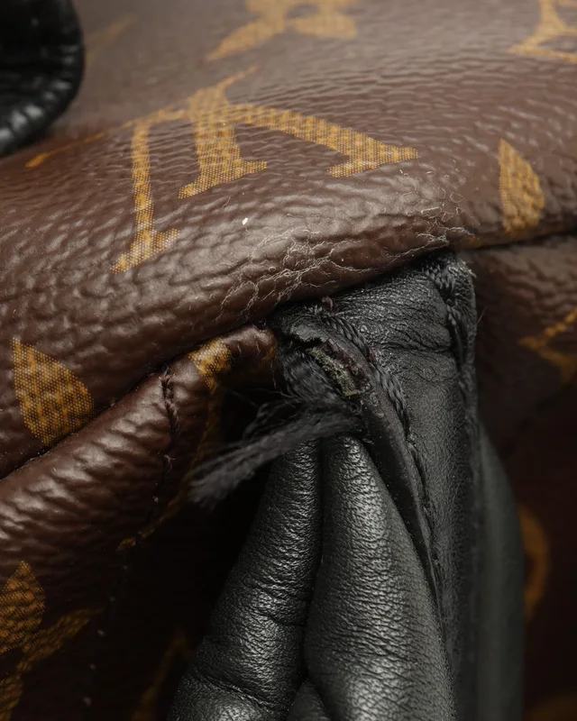 Louis Vuitton Monogram Palm Springs MM Backpack from A Retro Tale, photo 7 of 9