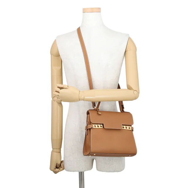 Delvaux Tanpet 2WAY Handbag Vegetal IvoryAA0505AMF0ADNDO Crispy Calf Leather Size PM in Calfskin from GALLERY RARE, photo 5 of 7