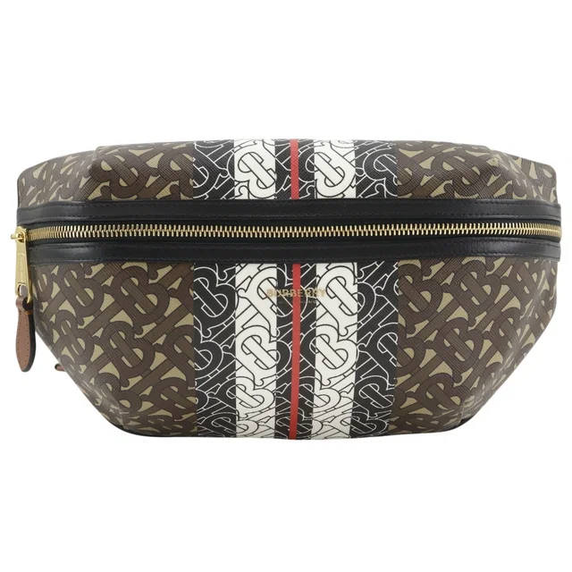 Burberry TB Monogram Stripe E Canvas Belt Bag in Canvas from LuxUness