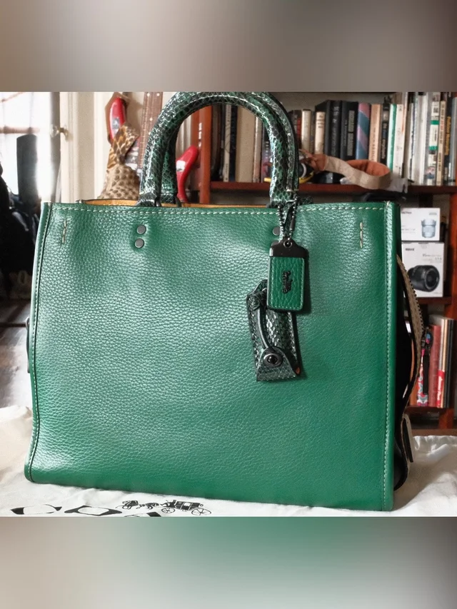 Coach Cypress Leather Rogue 30 With Genuine Python Trim Handles in green Python from Poshmark