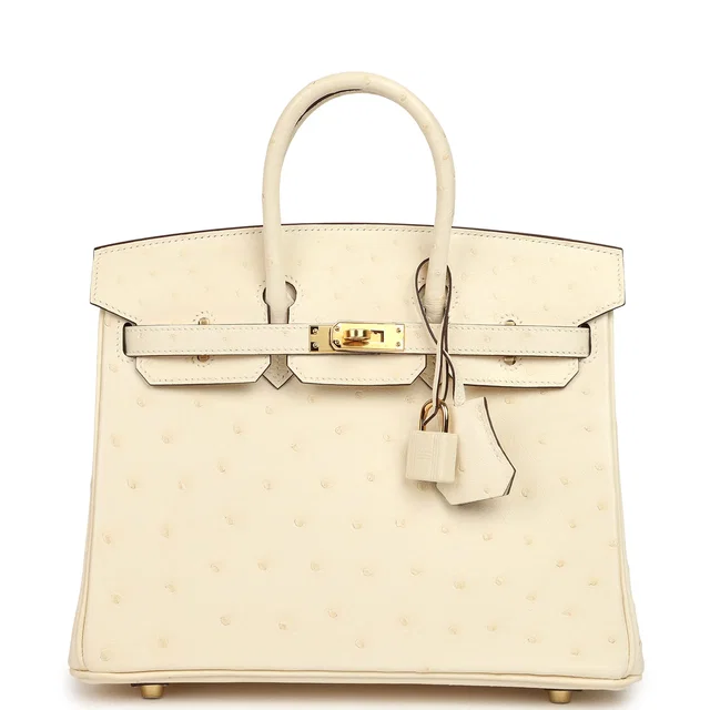 Hermès Birkin 25 Nata Ostrich Boreal Gold Hardware in Ostrich from Madison Avenue Couture
