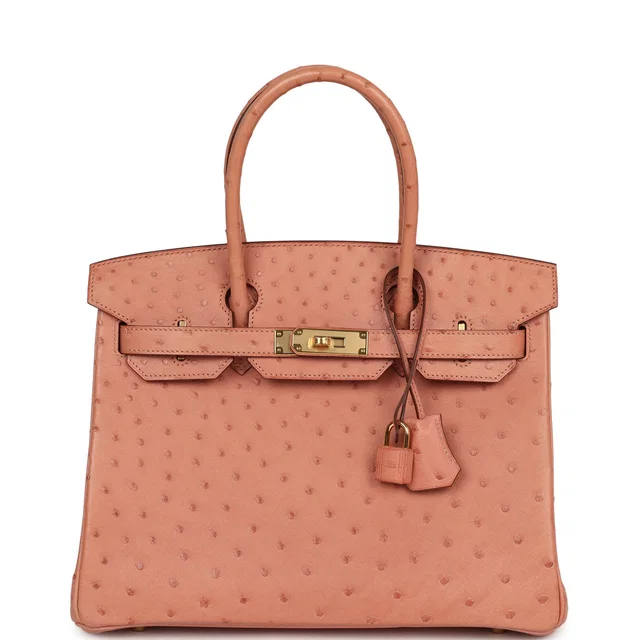Hermès Birkin 30 Terre Cuite Ostrich Gold Hardware in Ostrich from Madison Avenue Couture