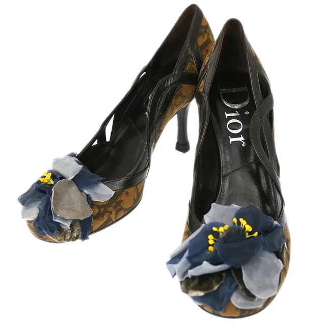 Dior Brown Trotter Pumps Shoes #34 in Brown Canvas from AMORE Vintage Tokyo