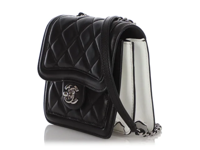 Chanel Mini Black and White Leather Citizen Flap in Black Leather from Ann's Fabulous Finds, photo 4 of 10