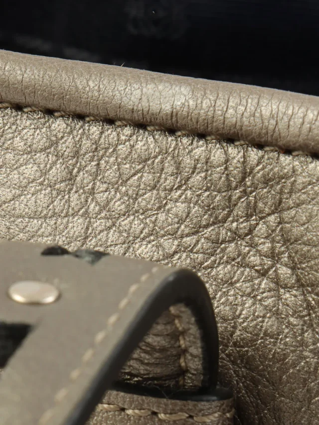 Loewe Heritage Bronze in Leather from VINTAGE QOO TOKYO, photo 16 of 19