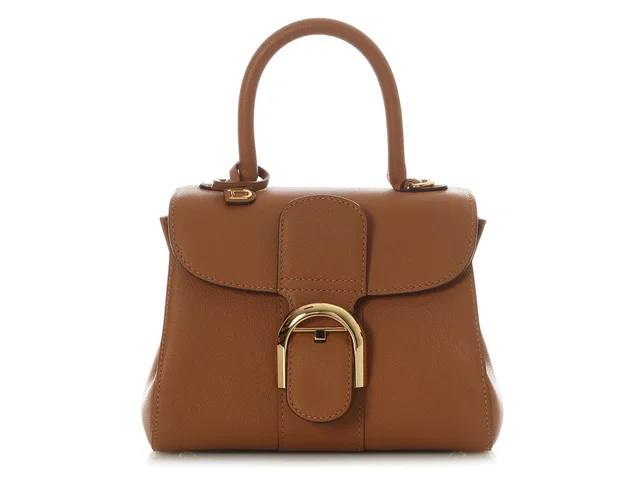 Delvaux Mini Vegetal Rodeo Calf Brillant in Caviar leather from Ann's Fabulous Finds