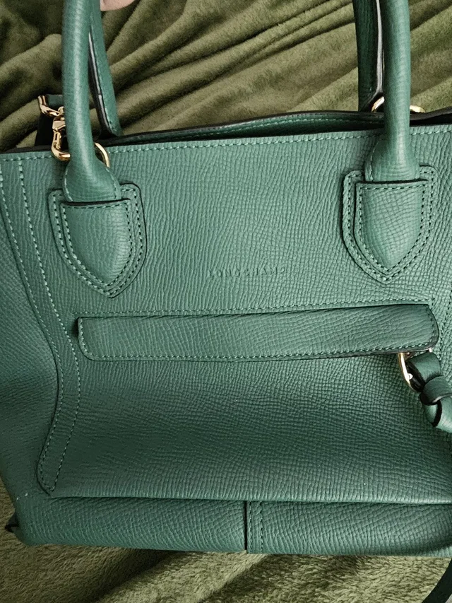 Longchamp Bag in green Leather from Poshmark