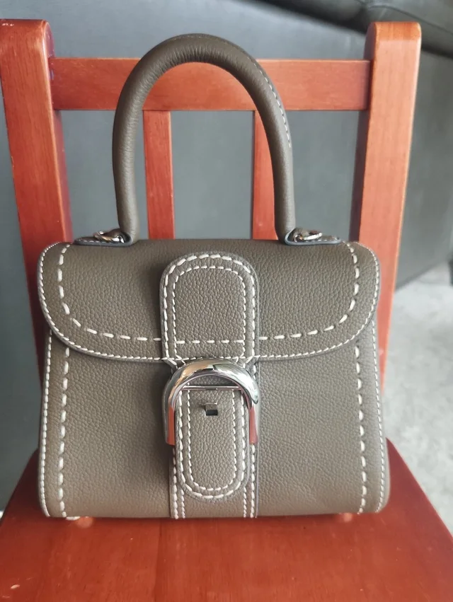 Delvaux Calfskin Brilliant Mini in green|gray Calfskin from Poshmark