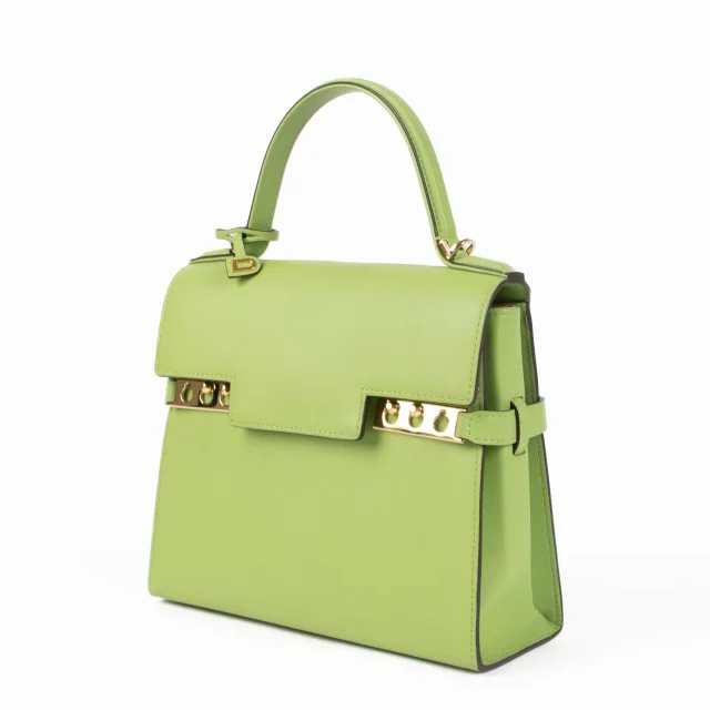 Delvaux Aloé Supple Calf Tempête PM in Calfskin from Labellov, photo 3 of 8
