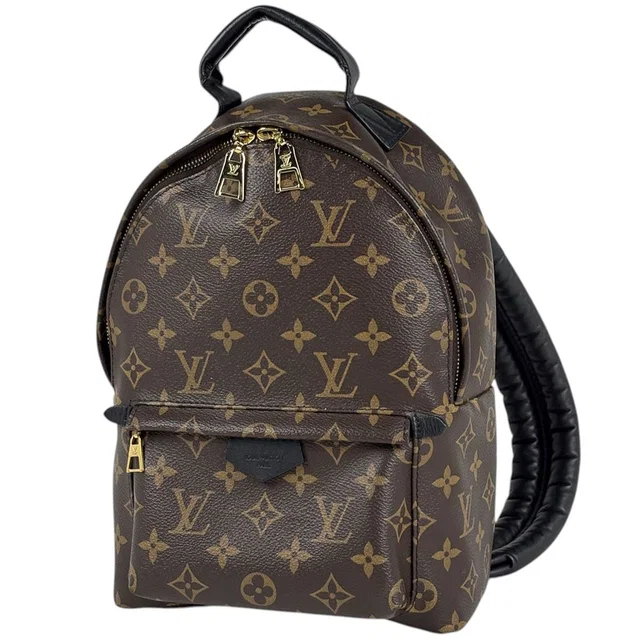Louis Vuitton Palm Springs Backpack PM Monogram Brown in Brown from The Reluxe